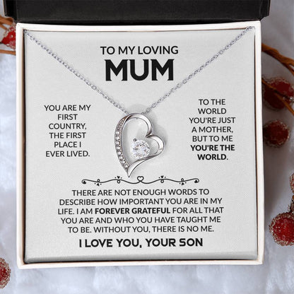 MUM GIFT FROM SON