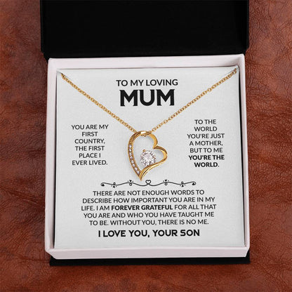 MUM GIFT FROM SON