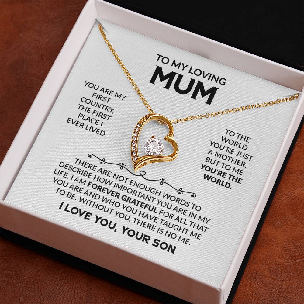 MUM GIFT FROM SON