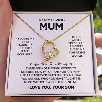 MUM GIFT FROM SON